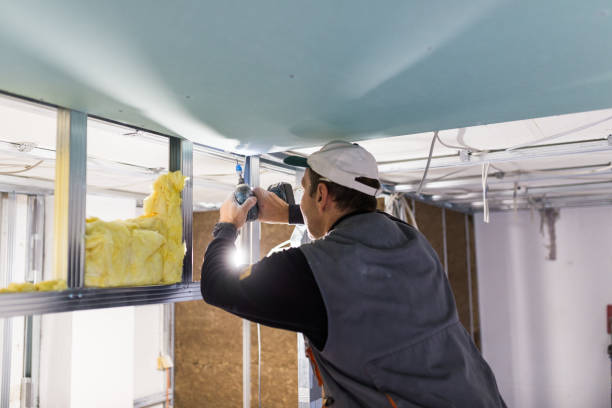 Best Insulation for Specific Applications in Bagdad, FL
