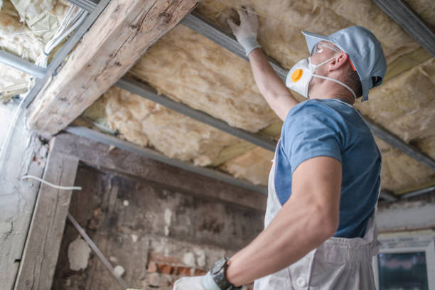 Best Insulation Installation Services in Bagdad, FL