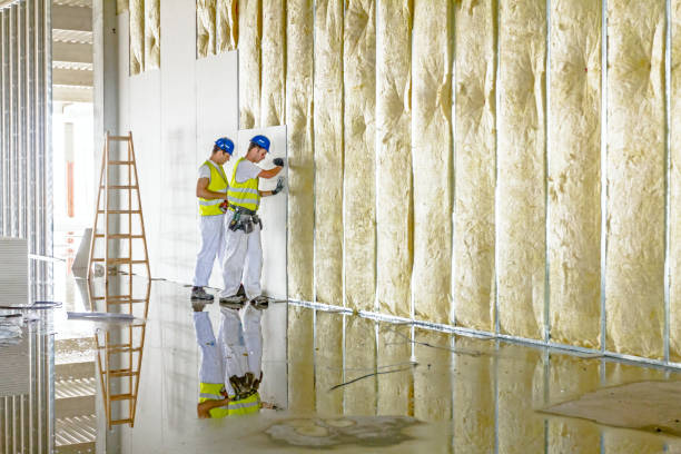 Best Types of Insulation in Bagdad, FL